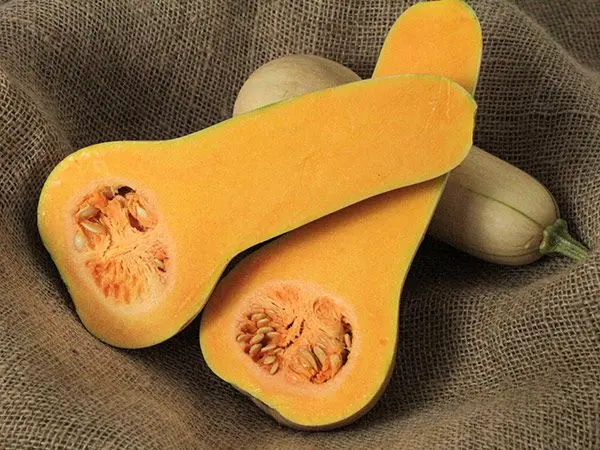 BURPEE'S BUTTERBUSH BUTTERNUT SQUASH